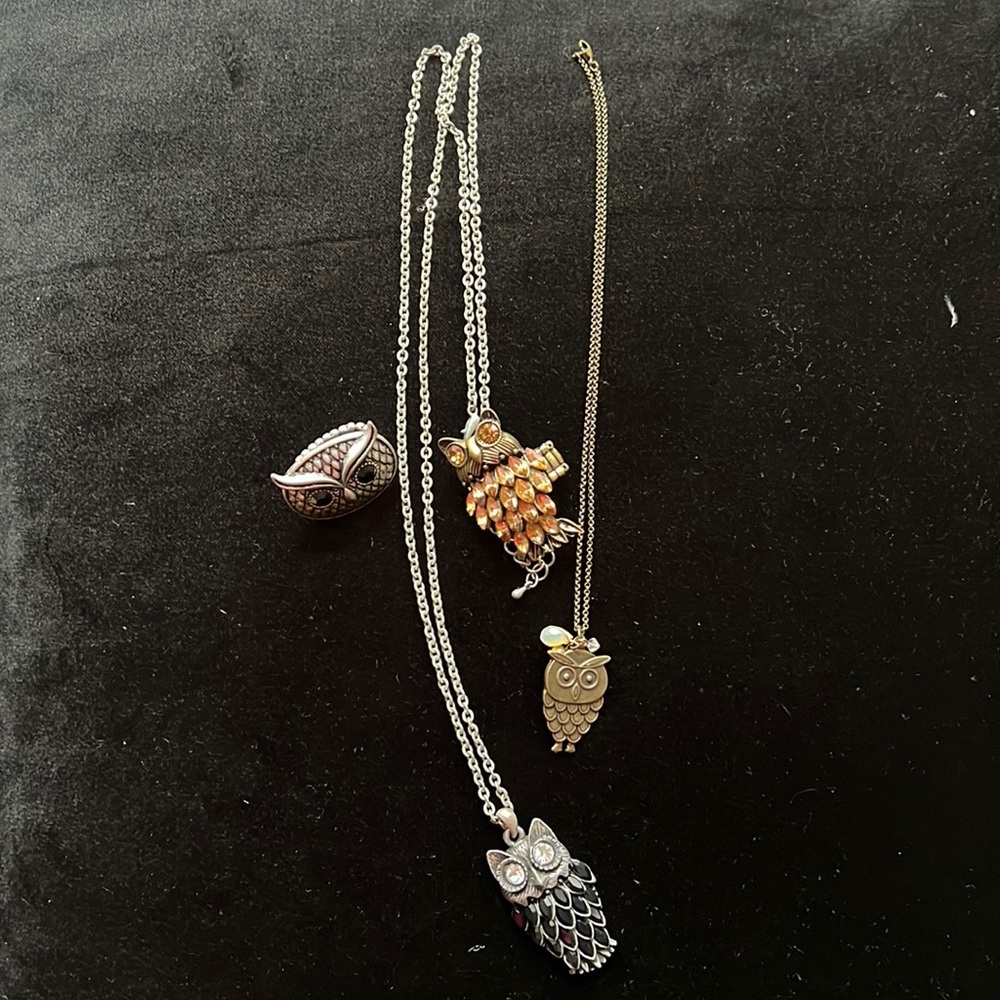 Bundle of Owl Jewelry.